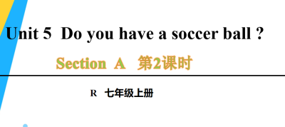 人教版七年级英语上册Unit5Do you have a soccer ball ?Section A Grammar Focus-3c第2课时课件