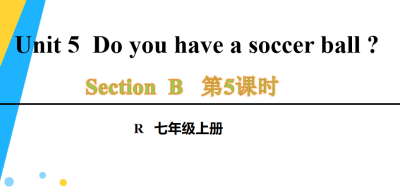 人教版七年级英语上册Unit5Do you have a soccer ball?SectionB 3a-Self Check 第5课时课件