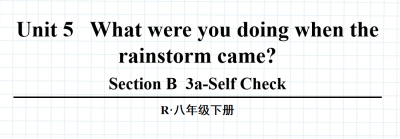 人教版八年级英语下册Unit5What were you doing when the rainstorm came? SectionB3a-Self Check第5课时课件