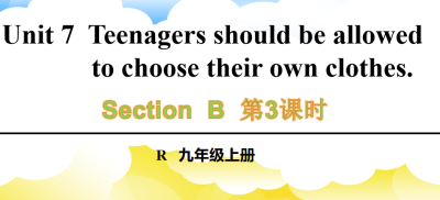 人教版九年级全册unit7 Teenagers should be allowed to choose their own clothes.SectionB 1a-1e.第3课时课件