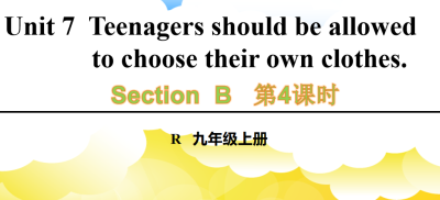 人教版九年级全册unit7 Teenagers should be allowed to choose their own clothes.SectionB 2a-2e.第4课时课件