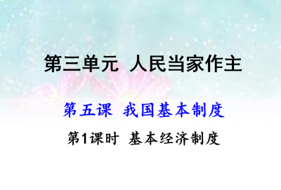 人教版八年级下册政治第三单元人民当家作主第五课我国基本制度基本经济制度PPT课件下载