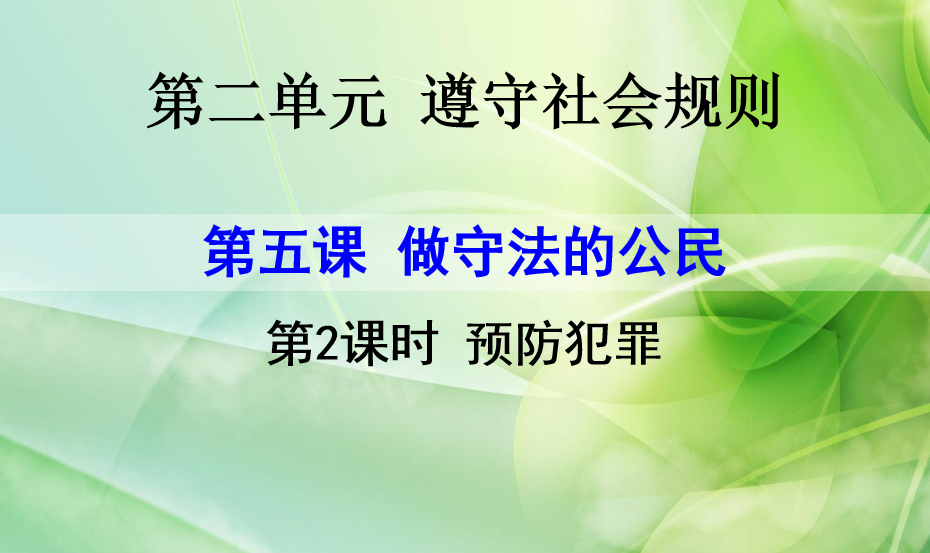 人教版八年级上册政治第二单元遵守社会规则第五课做守法的公民预防犯罪PPT课件下载（内含音频文件）